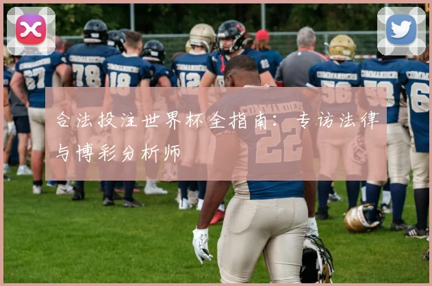 合法投注世界杯全指南:专访法律与博彩分析师