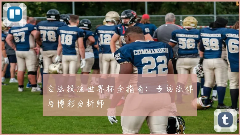 合法投注世界杯全指南:专访法律与博彩分析师