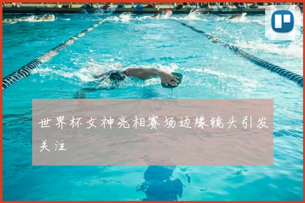 世界杯女神亮相赛场边缘镜头引发关注