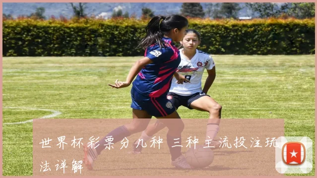 世界杯彩票分几种 三种主流投注玩法详解