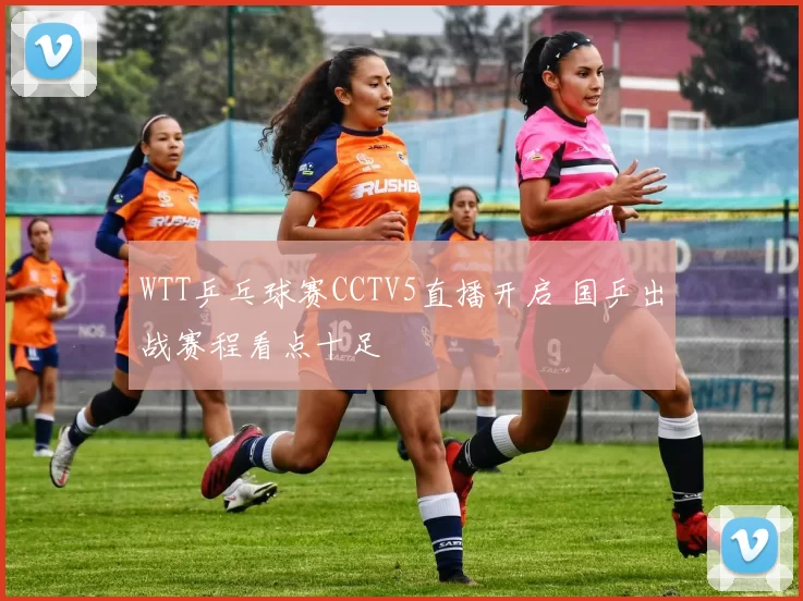 WTT乒乓球赛CCTV5直播开启 国乒出战赛程看点十足