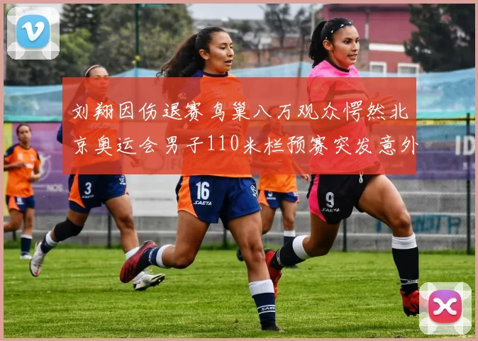 刘翔因伤退赛鸟巢八万观众愕然北京奥运会男子110米栏预赛突发意外