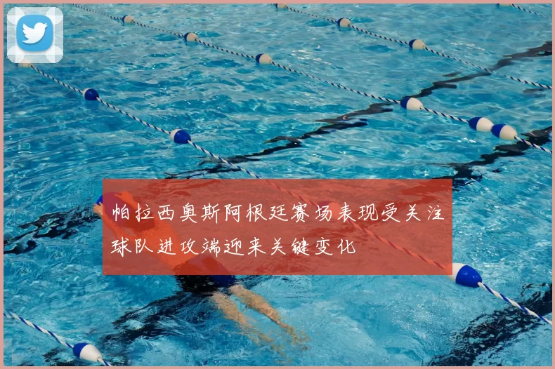帕拉西奥斯阿根廷赛场表现受关注球队进攻端迎来关键变化
