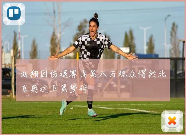 刘翔因伤退赛鸟巢八万观众愕然北京奥运卫冕梦碎